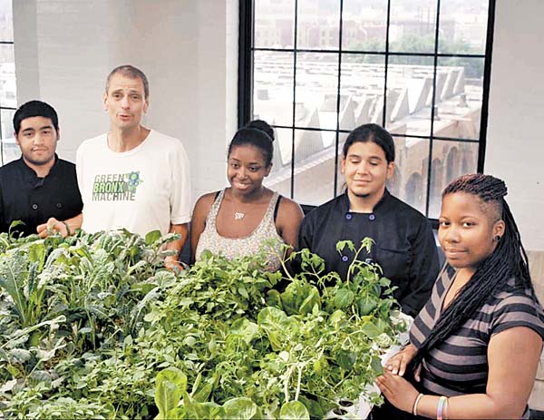 El proyecto Green Bronx Machines ha producido 13 mil 620 kilos de verduras.