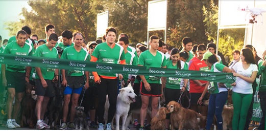 Perros y dueños podrán ejercitarse en el Perrotón 2014