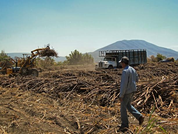 Los cañeros señalan que los dueños del Ingenio, prometen pero no cumplen.