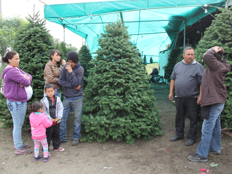 Algunas familias prefirieron ir temprano para alcanzar los mejores árboles.