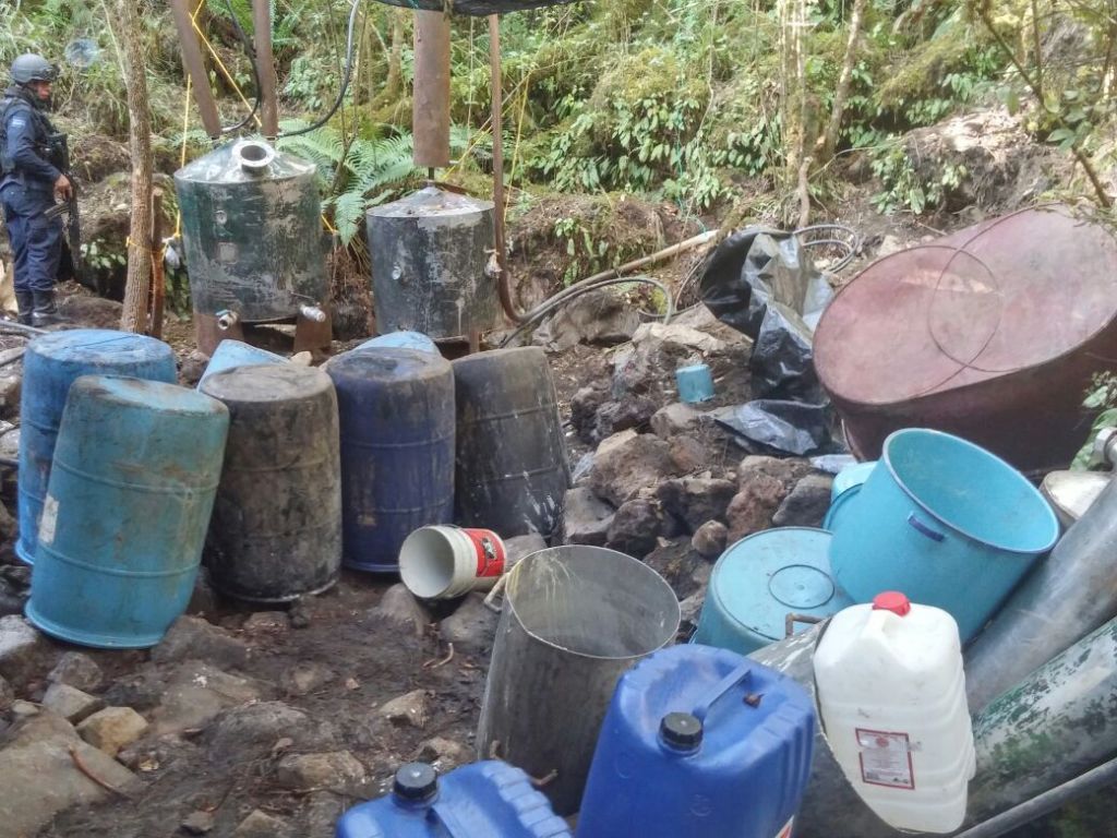 Gracias a una denuncia se localizó un laboratorio para la elaboración de droga en el predio El Potrero Grande. 