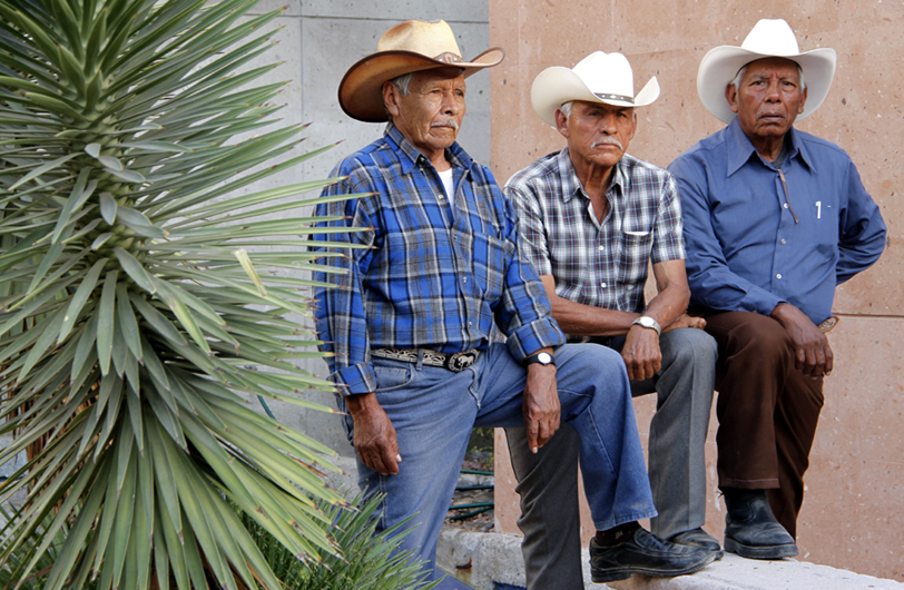 Los Cardencheros de Sapioriz serán beneficiados con el FONCA durante 2 años.