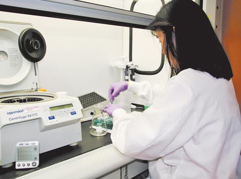 Extraen una parte del tumor para analizar el ARN de los 21 genes relacionados con ese carcinoma.