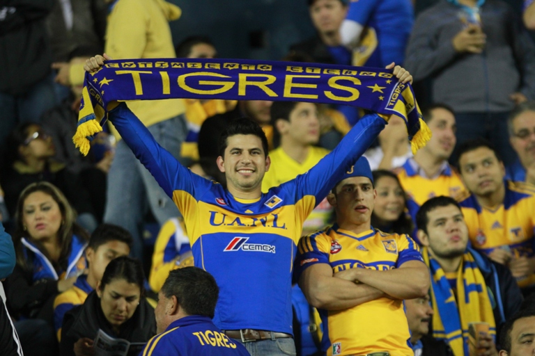 Aficionandos Tigres.