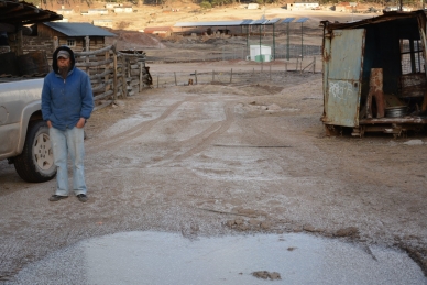 Las heladas se presentaron la última semana de noviembre. 