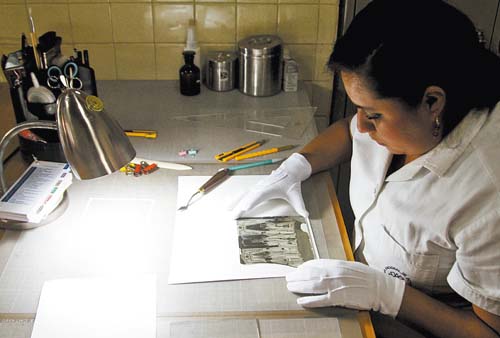 La exposición está abierta al público.