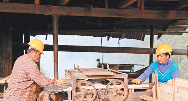 La Trinidad, en Chihuahua, genera de 50 a 60 empleos permanentes.