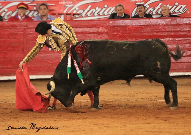 Alfredo Gutiérrez, torero