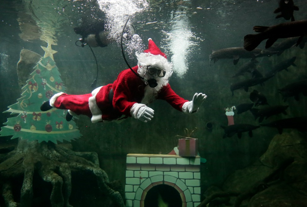 Santa Claus celebra Navidad sumergido en Acuario del Zoológico Guadalajara