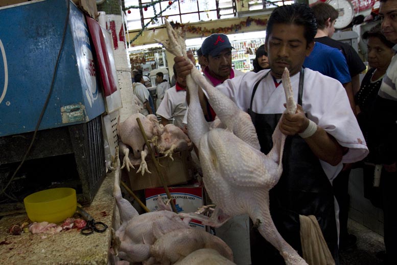 El pavo, en la lista de compra.