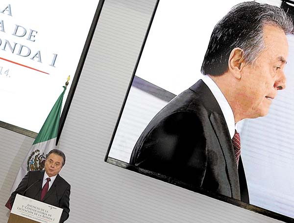 Pedro Joaquín Coldwell, secretario de Energía.