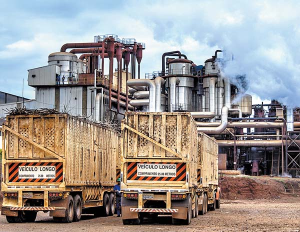 Centro de producción de combustible verde en territorio brasileño.
