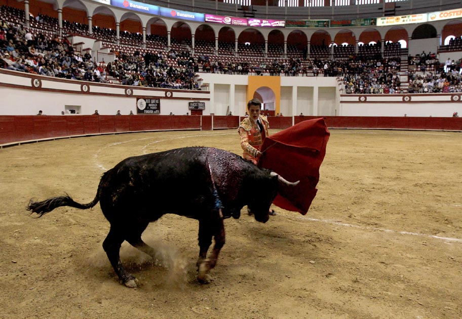 Jesús “Güerito” Sotomayor debutó como novillero en el Coliseo Centenario de Torreón.