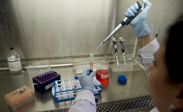 En el mundo hay 3 mil 200 millones de personas en riesgo de contraer la malaria