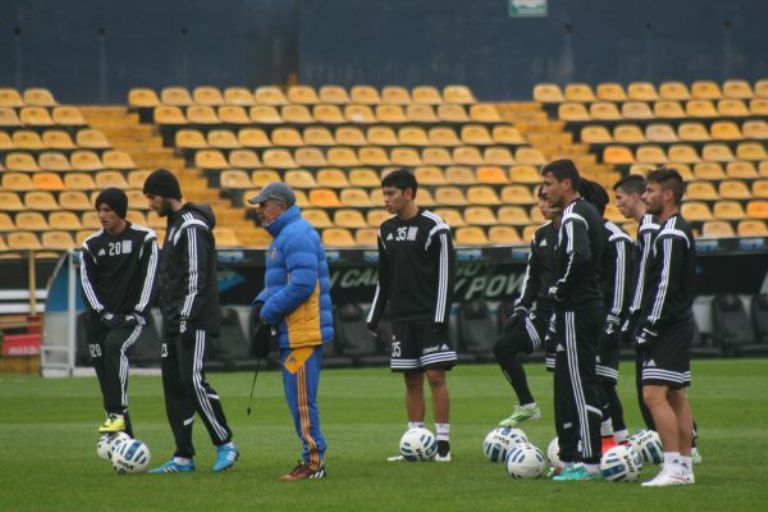 El plantel felino puede sumar a un jugador extranjero hasta el 5 de febrero