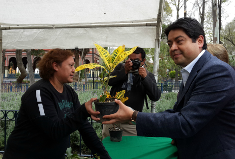 El jefe delegacional en Cuauhtémoc, considera que la Asamblea Legislativa debe actualizar la norma para el comercio en vía pública en la Ciudad de Méx