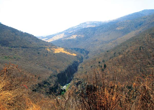 La zona intervenida se conecta con la Reserva de la Biósfera de Manantlán.