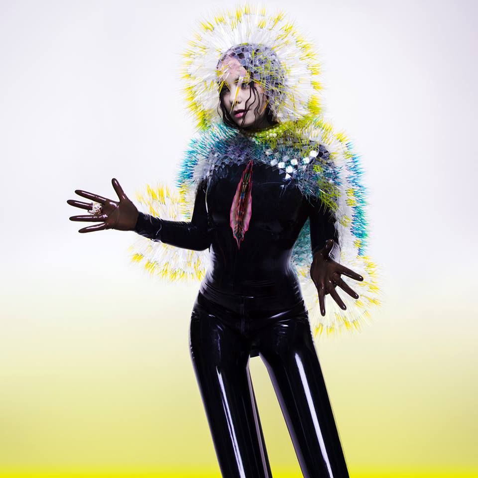 Así luce la portada de 'Vulnicura', nuevo álbum de Björk. 