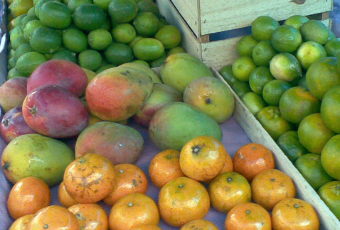 Frutas, verduras y abarrotes que forman parte de la canasta básica se pueden obtener a menor precio en mercados públicos, dijo el diputado local perre