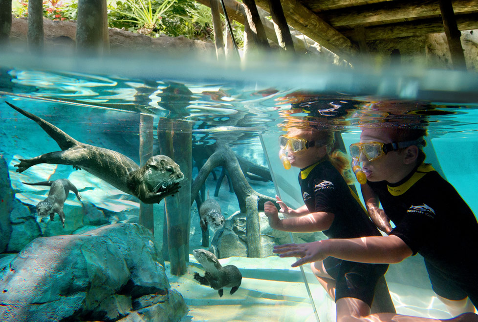 Discovery Cove