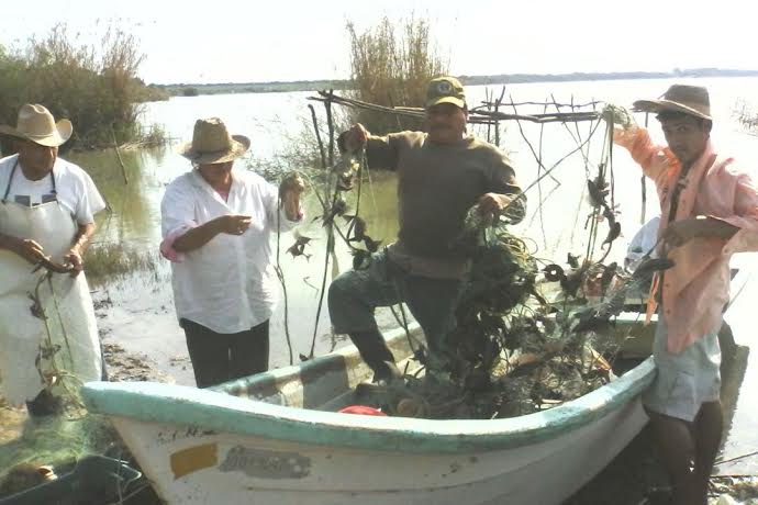 Pescadores piden ayuda para afrontar la problemática.