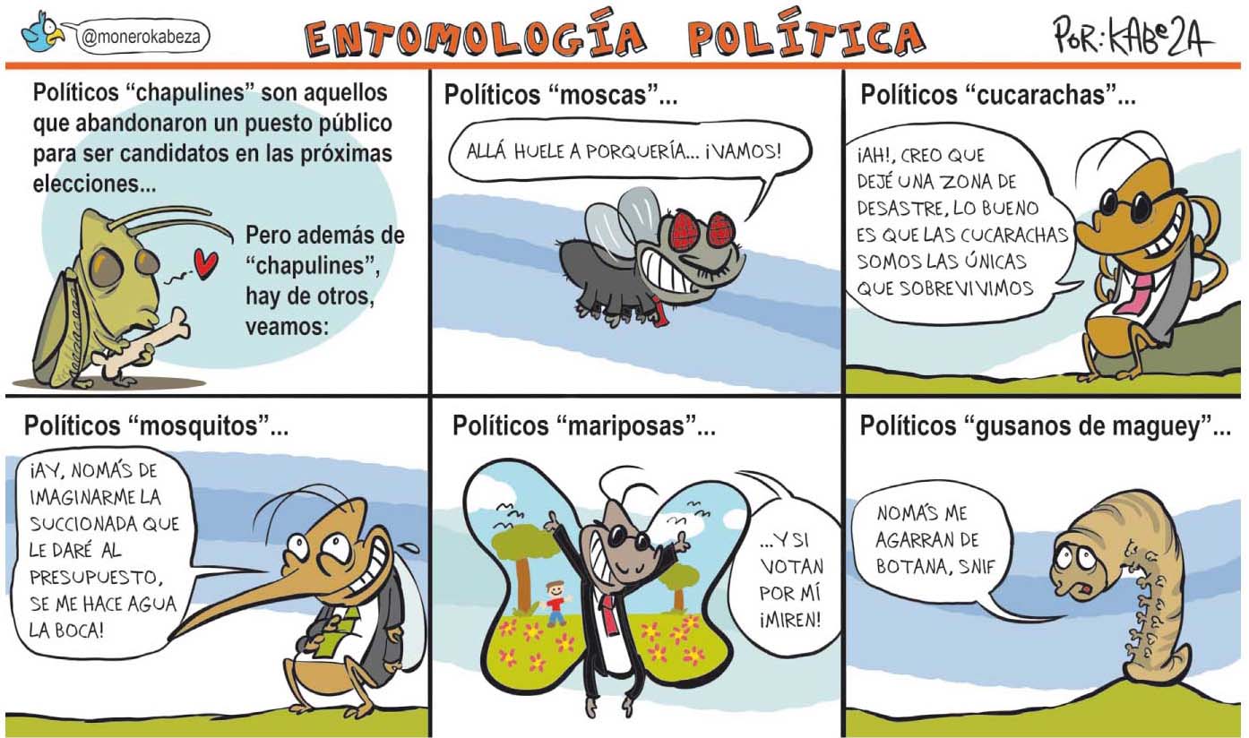 Entomología política