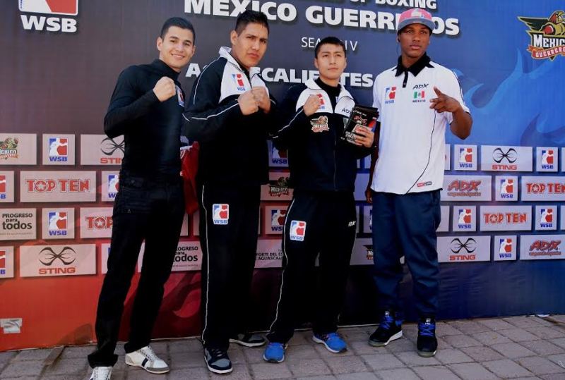 V Serie Mundial de Boxeo