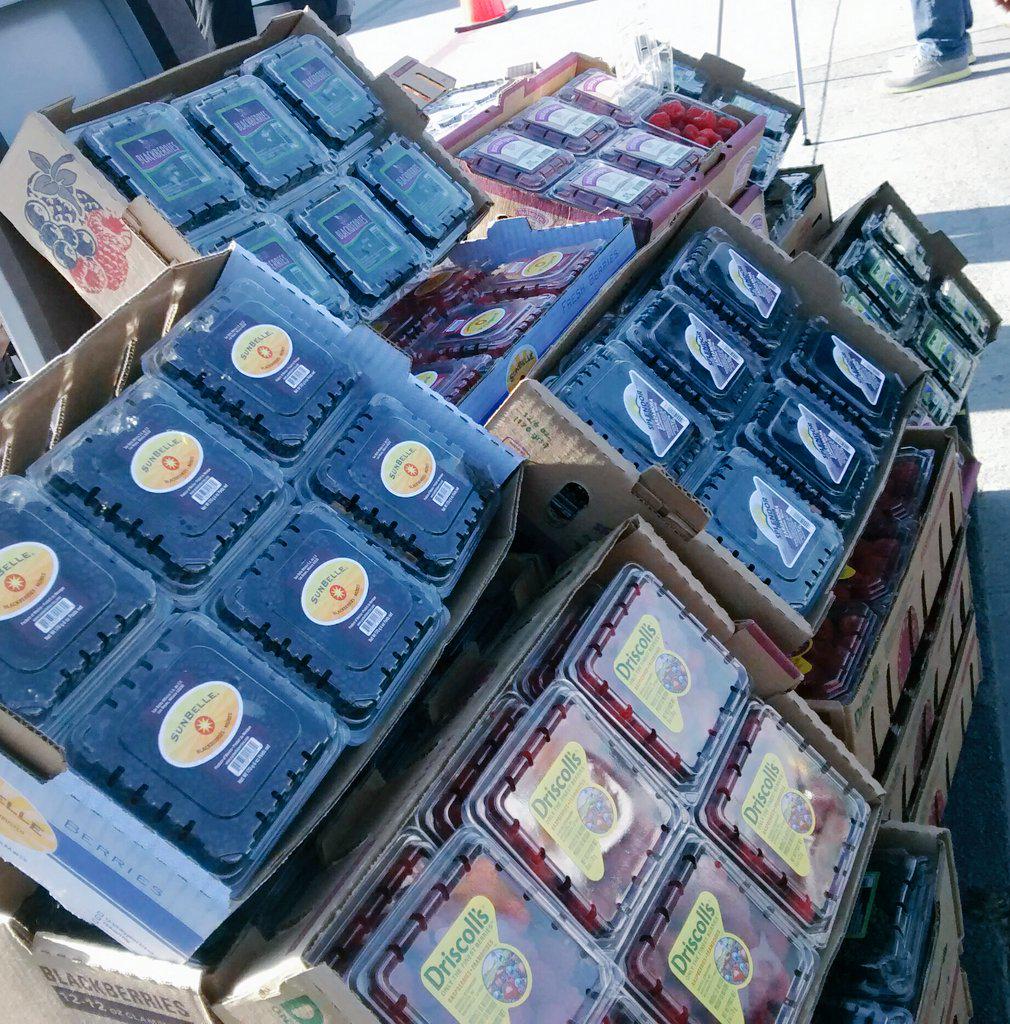 Este miércoles dieron salida las primeras seis toneladas de berries 