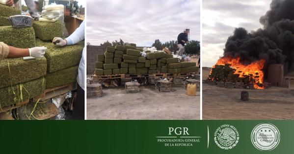 Incinera PGR casi dos toneladas de droga en Sonora con apoyo de la Sedena.