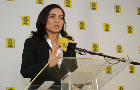 Conferencia de prensa ofrecida por la precandidata del PRD al gobierno de Guerrero, Beatriz Mojica.