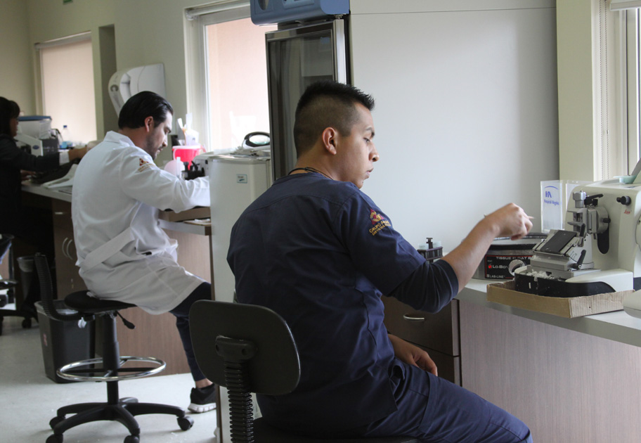En Torreón dispone de tecnología médica del más alto nivel como resonancia magnética y tomografía axial con 64 cortes, entre otros.