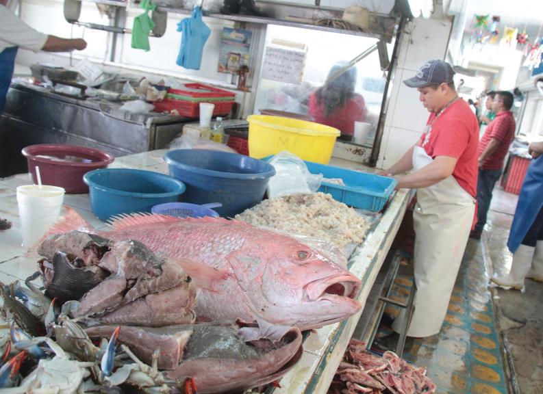 Están vendiendo el producto del mar que es del día.