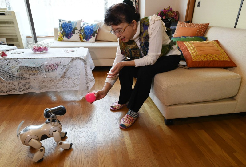 Aibo, el popular animal de compañía dejó de ser fabricado en 2006 por Sony.