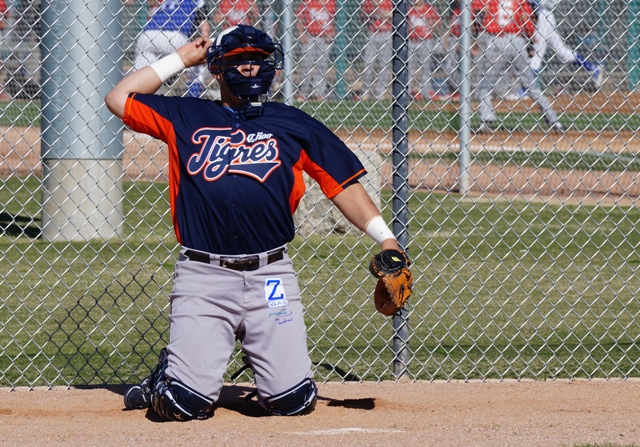 Los Tigres de Quintana Roo realizan su pretemporada en Tucson, Arizona