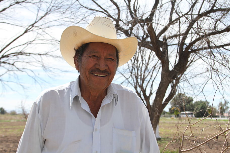 Fidencio Huerta García, quien radica en el ejido Santa Ana, se dedica a cuidar nogales para vivir, pues su edad no le permite hacer otro trabajo.