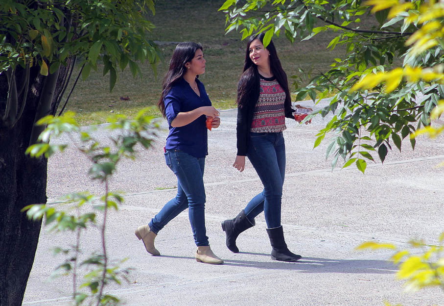 Red Regional de Mujeres de La Laguna señala que los gobierno de Coahuila y Durango tienen leyes punitivas que criminalizan a las mujeres.