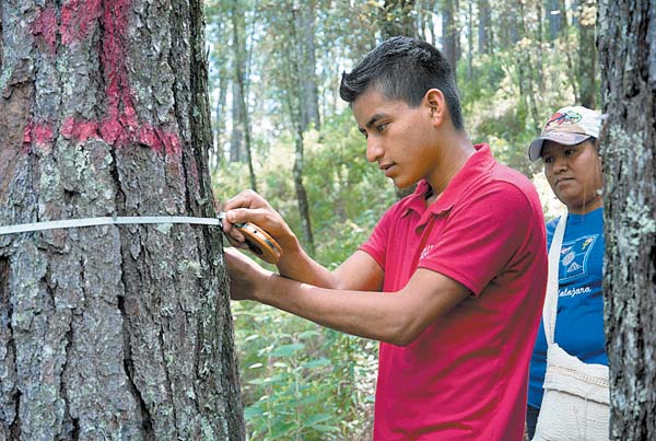 El proyecto le paga a los campesinos entre 15 y 20 por ciento más de lo que suelen ganar por jornal.