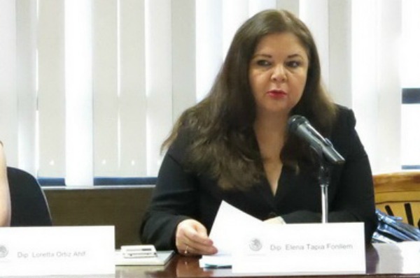 Margarita Elena Tapia, coordinadora de la comisión especial para la investigación del caso Tlatlaya, dijo que el poder legislativo tiene fallas muy se
