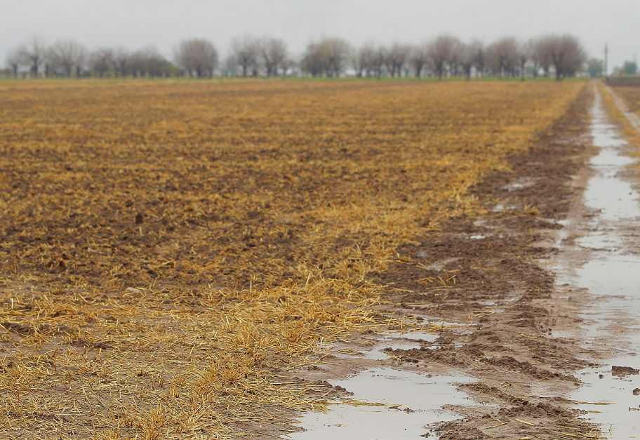 El convenio pactado entre el Gobierno de Coahuila y la CFE para el pago de adeudos, ha dejado a los productores agrícolas muy conformes.