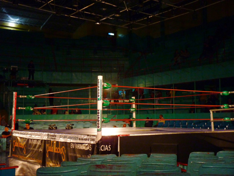 Ring de lucha libre 