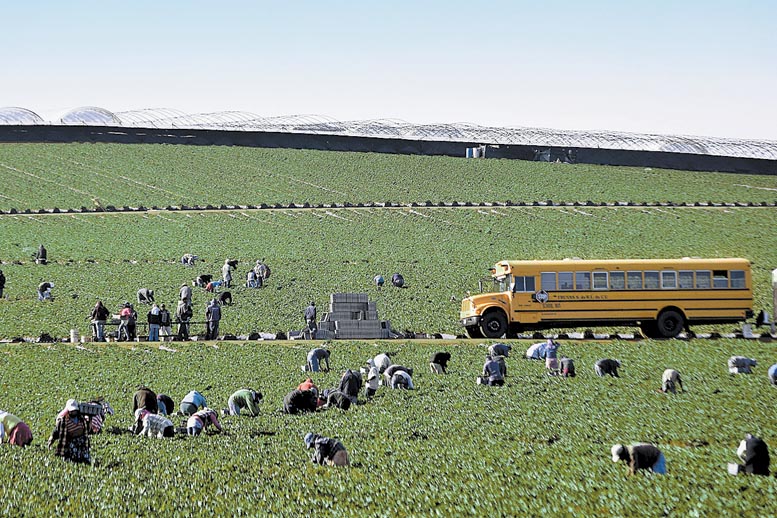Exigen detener la explotación de jornaleros en campos de cultivo en varios estados del país.