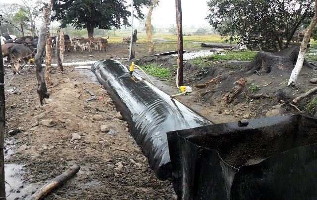 Ganaderos solicitan la atención del gobierno para recibir capacitación sobre biodigestores