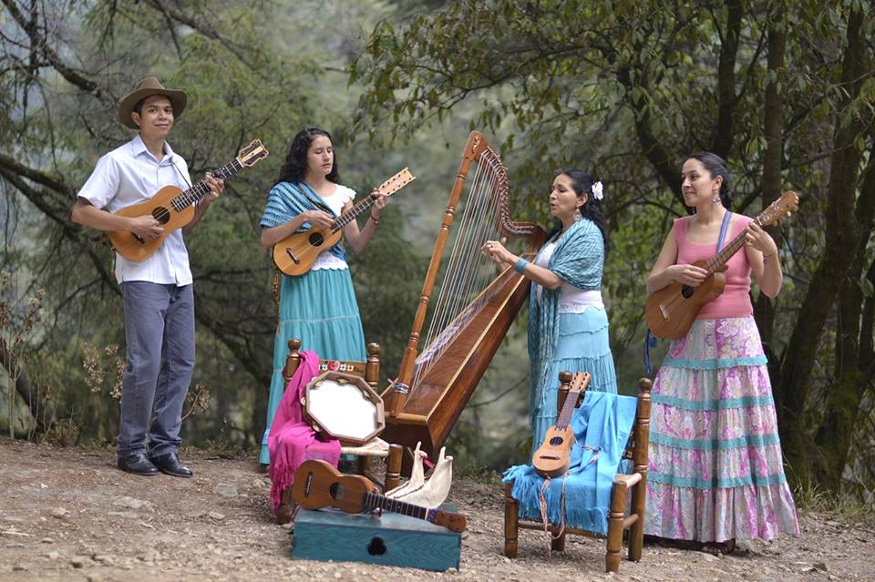Grupos como Caña Dulce y Caña Brava, Son de Madera, Los cultivadores del son o Mono Blanco se presentarán en el encuentro.
