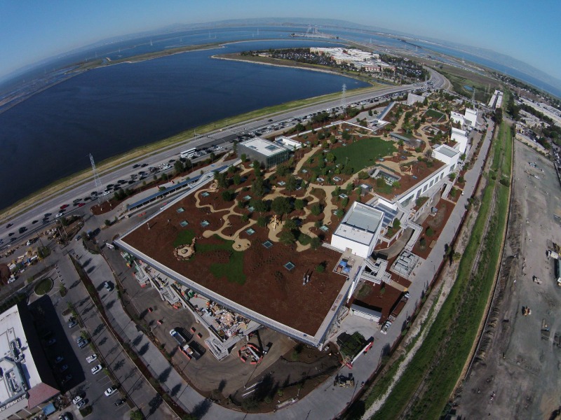 Sobre el techo de las nuevas oficinas de Facebook hay un parque de cuatro hectáreas con senderos y muchos espacios naturales donde sentarse a trabajar