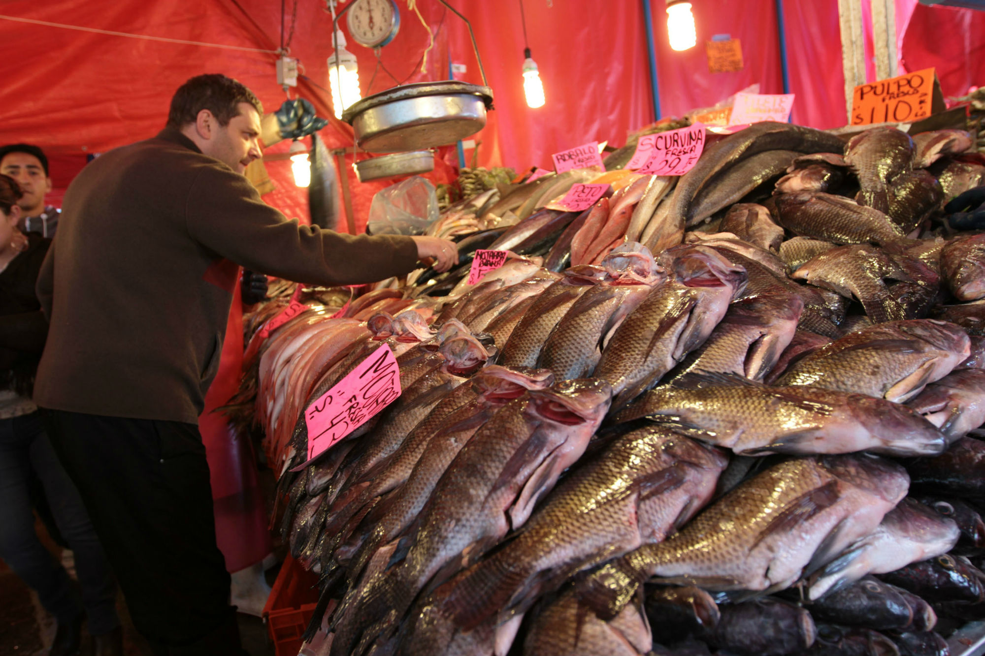 Mercado de La Nueva Viga.
