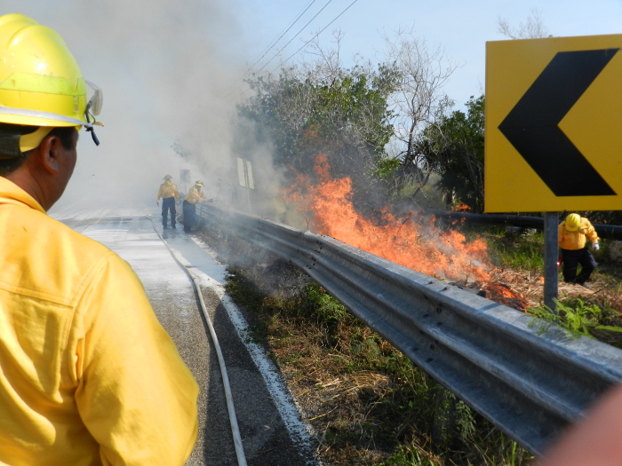 Equipos de bomberos combaten diversos incendios en la Península de Yucatán. 