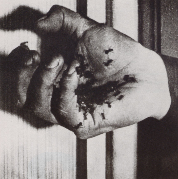 Una escena de Un Chien Andalou