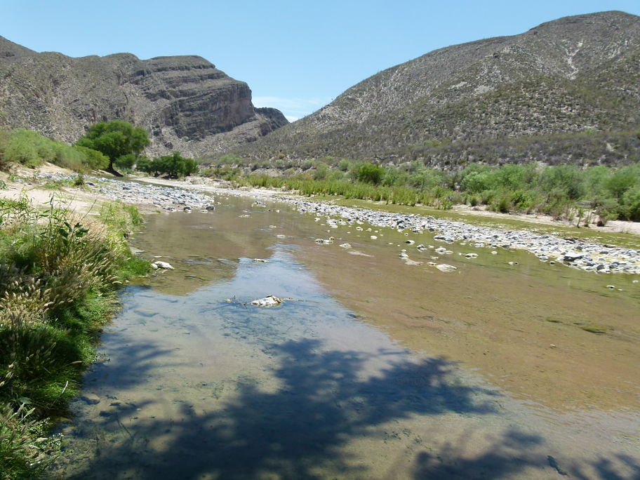 La Reserva ecológica de Jimulco está protegida y sustentada ecológica y económicamente por sus más de cinco mil habitantes.
