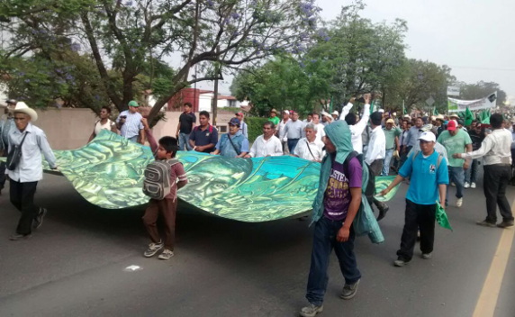 Las manifestantes cerraron varios accesos en Oaxaca
