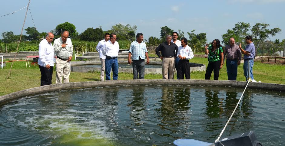 Las condiciones en la zona son favorables para la producción de diferentes especies de peces.